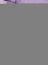 NAME-IT_All-year_4105937_13211632_5.jpg