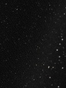 NAME-IT_FallWinter2023_4355568_13224097_4.jpg