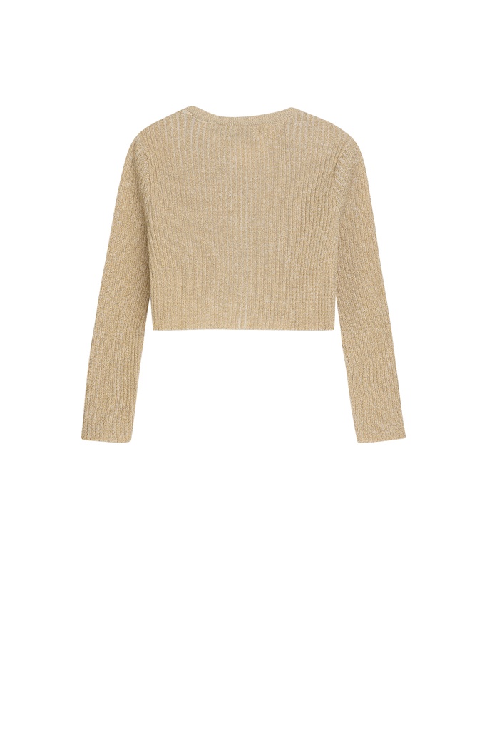 4524-000 - DSIA - Gold - Extra 1.jpg