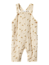 13240017_4706323_Front.jpg
