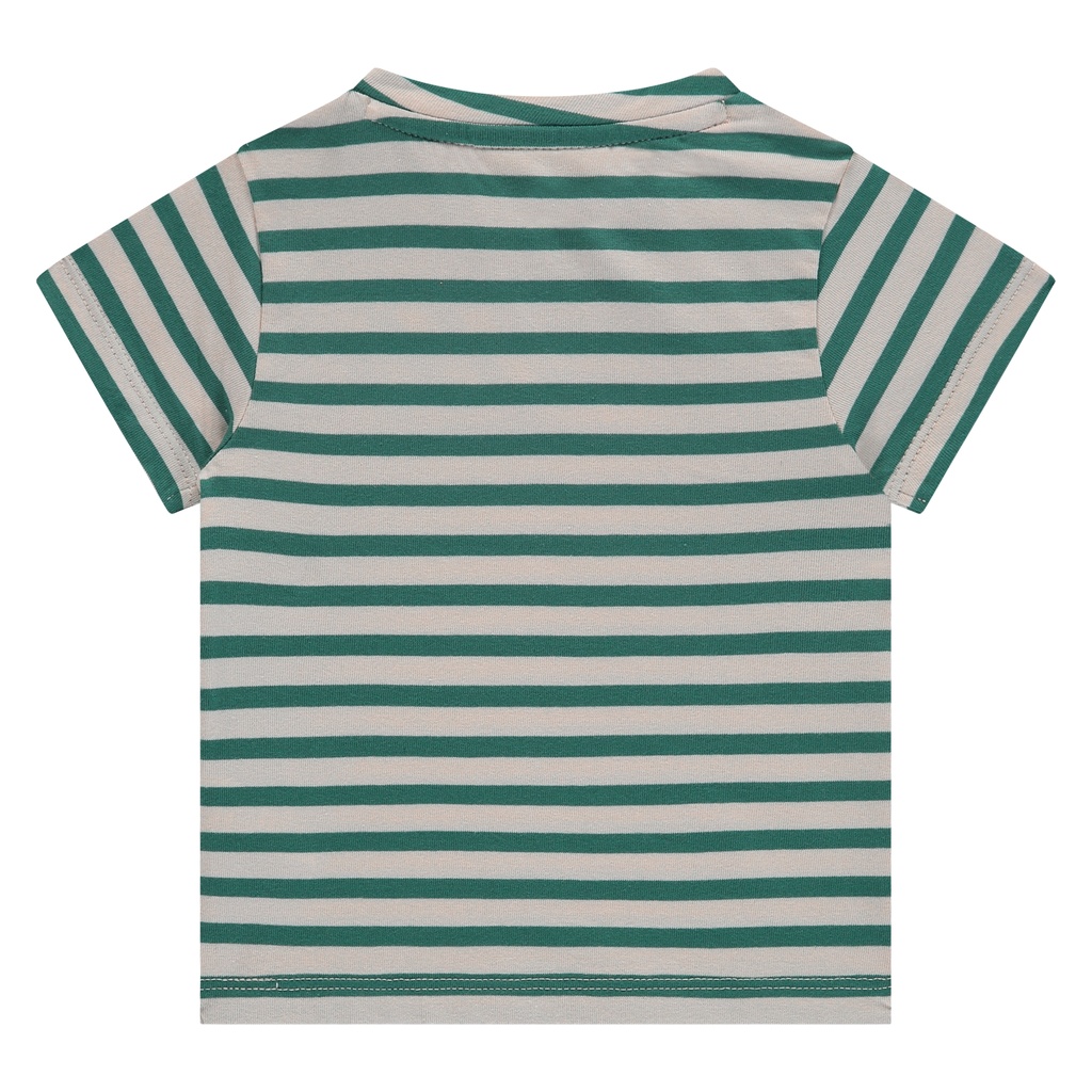 BBE25127619-BBE-00230-green-75.jpg