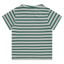 BBE25127619-BBE-00230-green-75.jpg
