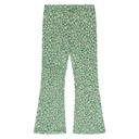 SSA25208226-SSA-00034-grass-777.jpg