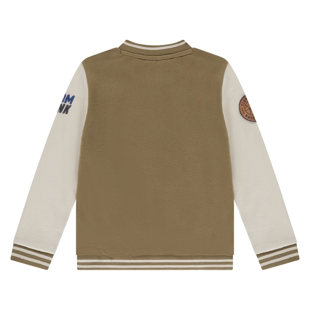 SSA25507485-SSA-00051-camel-1577.jpg