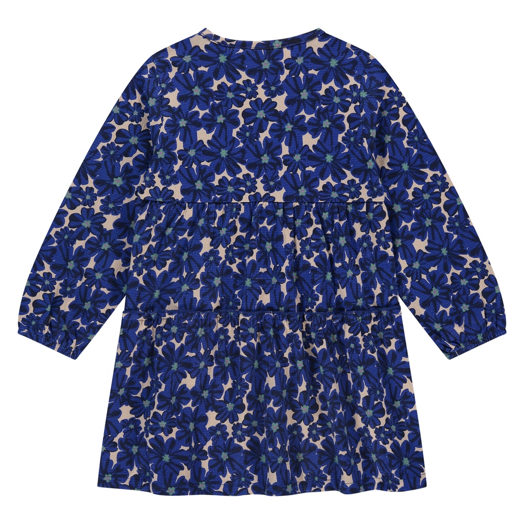 SSA25508772-SSA-00068-cobalt-1738.jpg