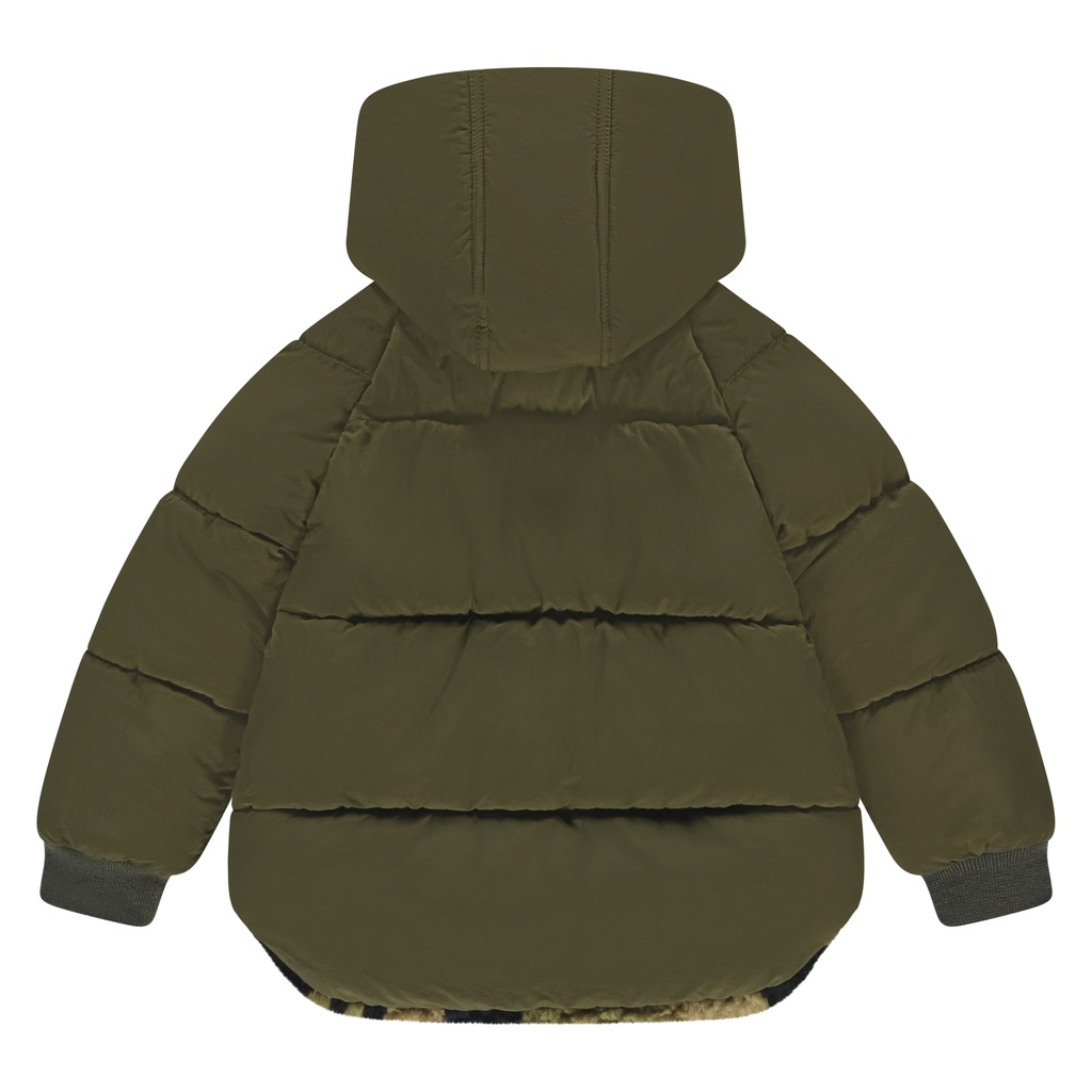 SSA25507179-SSA-00073-moss-1495.jpg