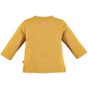 20328620_Ocher_back.jpg