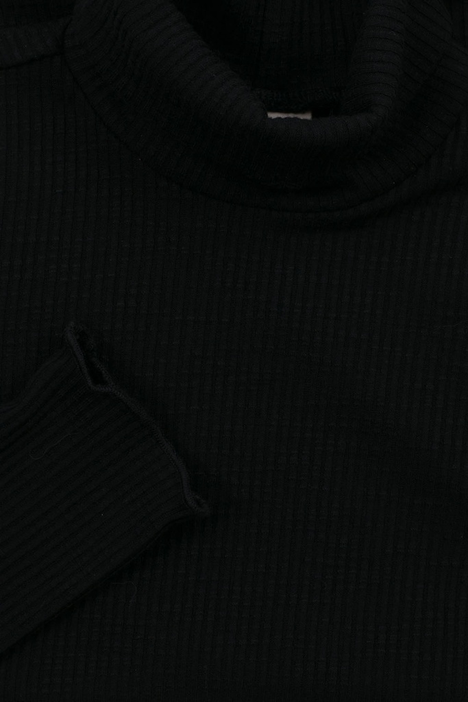 2131-5447-099_005_001.jpg