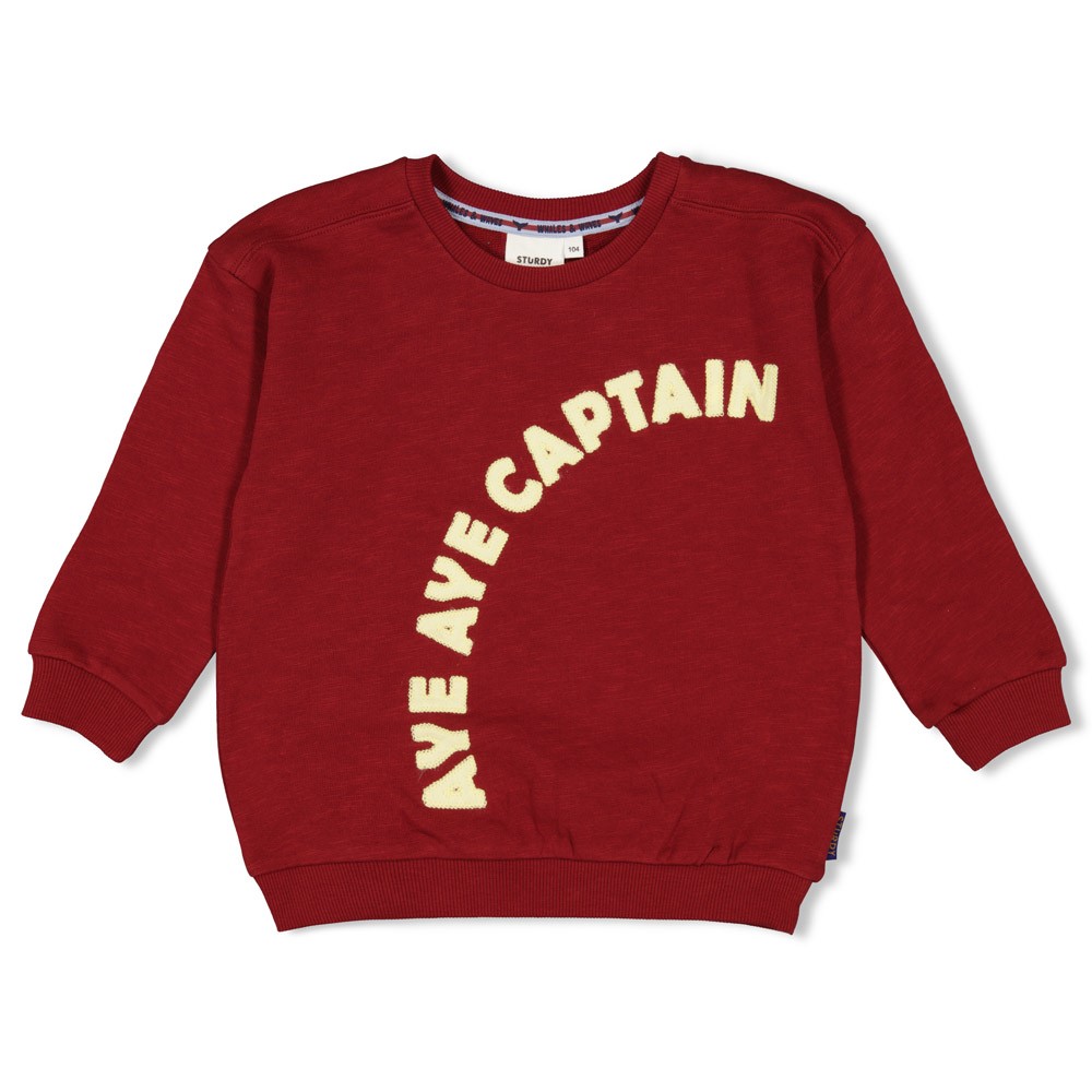 Sturdy - Sweater - Waves and Whales - Bordeaux - 71600647