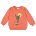 Feetje - Sweater - Desert Fiesta - Koraal - 71600653
