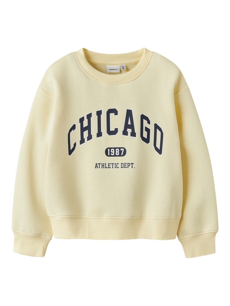 NAME IT KIDS - NKF FABIA LS NREG SWEAT BRU - Pear Sorbet