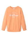 NAME IT KIDS - NKM HANIELS LS SWEAT UNB - Salmon Buff