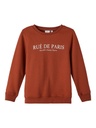 NAME IT KIDS - NKM ROLAN LS SWEAT BRU - Arabian Spice
