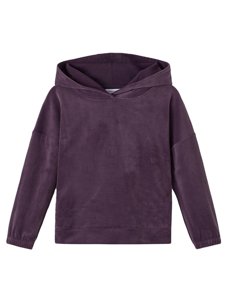 NAME IT MINI - NMF RASMINE VELOUR WH - Hortensia