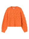 NAME IT KIDS - NKF TIKSEN LS SHORT KNIT - Bird of Paradise