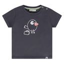Babyface - baby boys t-shirt short sleeve - dark grey - NWB24227635