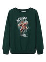 NAME IT KIDS - NKM ROMUSJUL LS NREG SWEAT BRU - Botanical Garden