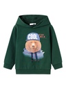 NAME IT MINI - NMM LABEAR SWEAT WH UNB - Pine Grove