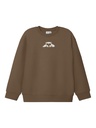 NAME IT KIDS - NKM NAKRAVE LS RLX SWEAT BRU - Pecan Pie