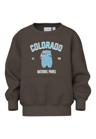 NAME IT MINI - NMM VODER LS NREG SWEAT BOX UNB - Turkish Coffee Colorado