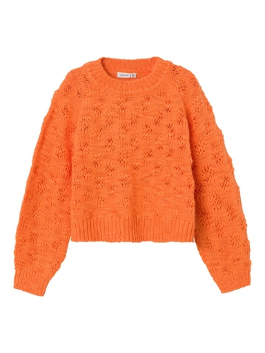 NAME IT KIDS - NKF TIKSEN LS SHORT KNIT - Bird of Paradise