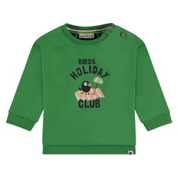 Babyface - baby boys sweatshirt - grass - NWB24227423