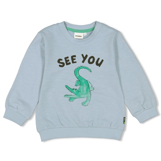 Sturdy - Sweater - Gone Surfing - l.Blauw - 71600558