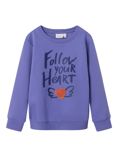 NAME IT MINI - NMF OMIANA LS BRU SWEAT PB - Iris Bloom