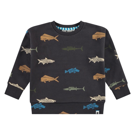 Stains & Stories - boys sweatshirt - antra - SSA24507477