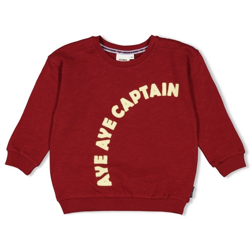 Sturdy - Sweater - Waves and Whales - Bordeaux - 71600647