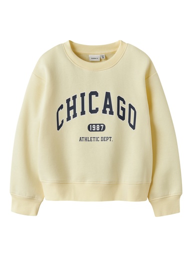 NAME IT KIDS - NKF FABIA LS NREG SWEAT BRU - Pear Sorbet
