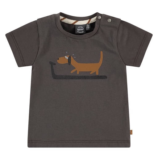 [8720008757547] Babyface - baby boys t-shirt short sleeve - antra - NWB22127609